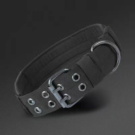 1 collier tactique en nylon pour chien de grande et moyenne taille, taille réglable, laisse pour chien