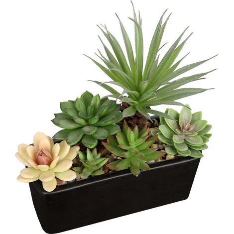 Plantes succulentes artificielles en pot en céramique blanche de 18 cm, fausses plantes grasses artificielles en pot rectangulaire pour bureau, maison, salle de bain, décoration d'étagère (1/5)