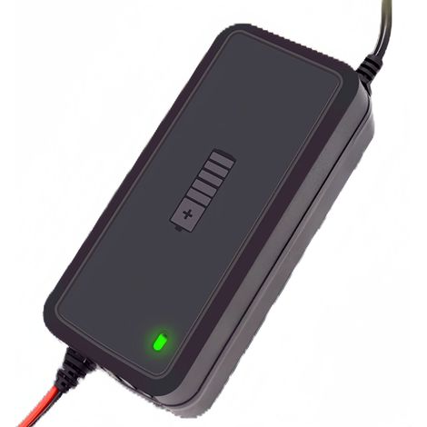Caricabatterie per auto 12V 5A, caricabatteria a impulsi per moto, caricabatteria intelligente per batterie ad accumulo di energia, adatto per batterie al piombo-acido da 12V-2Ah-100Ah.