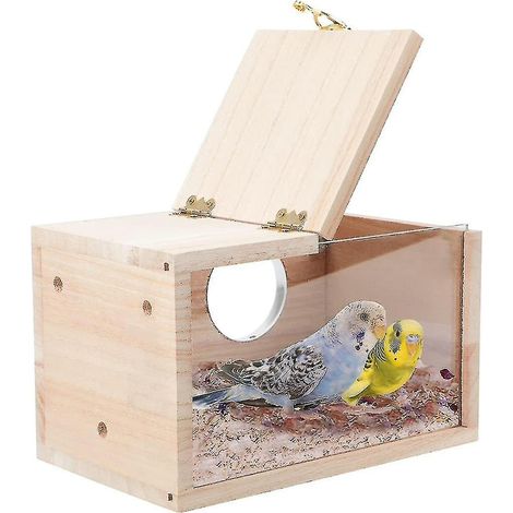 Nichoir transparent pour perruches, boîte d'élevage en bois pour perroquets, gâteau pour perruches (en bois) (1/5)