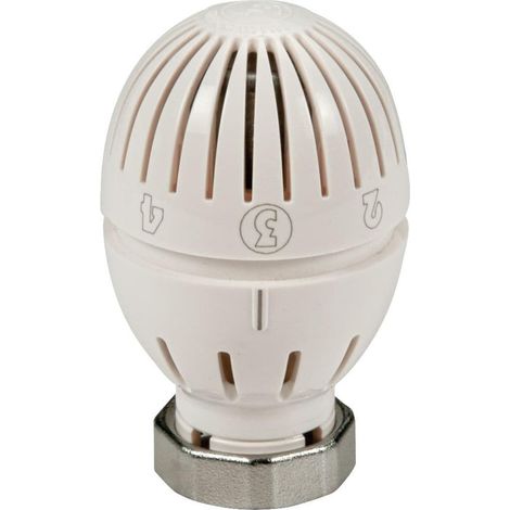 Giacomini – Tête thermostatique pour radiateur chauffage central – Bulbe liquide – Diamètre 49 mm – Fixation clip-clap – Norme EN215