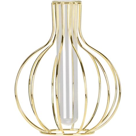 Vase à Fleurs Créatif en Fer, Verre Transparent, Forme Géométrique (1/5)