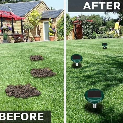 Répulsif solaire pour taupes, répulsif ultrasonique pour taupes, répulsif pour campagnols, répulsif pour taupes, contrle des nuisibles avec IP56 pour le jardin, 2 pièces., Ensoleillé (1/4)