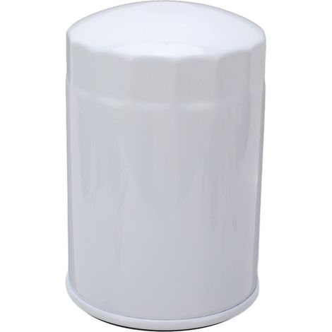Filtre à huile moteur 3850559 Filtre à essence diesel pour moteurs 4,3 L 5,0 L 5,7 L 7,4 L 8,2 L (1/5)