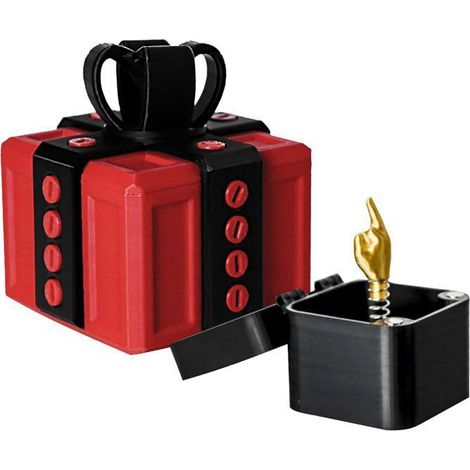 Boîte Cadeau Really Annoying avec rangement torsadé coffret Boîte à Surprise et Attrape 3D,Doigt d'honneur Inutile et BOITE CADEAU (1/5)