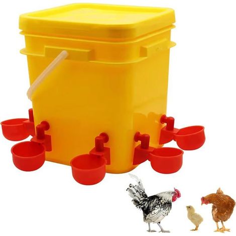 Poussin Mangeoire Et Abreuvoir, Abreuvoir Automatique pour Poulet, pour Bain D'Oiseau Matériel Agricole 12L (1/5)