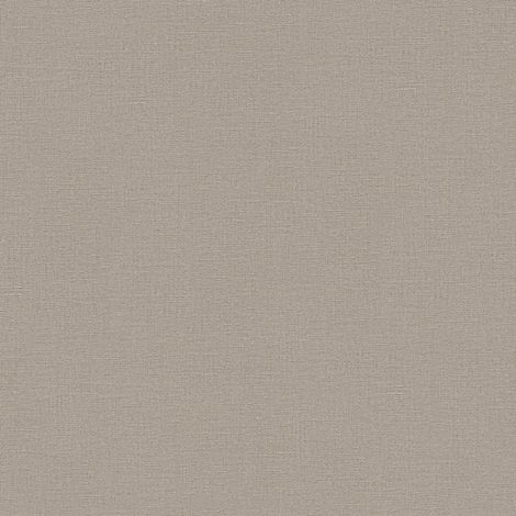 BRICOFLOR Papier peint uni Papier peint intissé Marron - Papier peint Uni - 10,05 x 0,53 m (1/4)