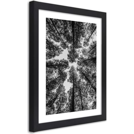 Quadro con cornice, Corone di alberi - 20x30 (1/5)
