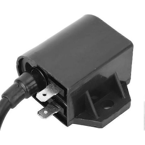 Bobine d'allumage Fydun Pièce de rechange 3089239 compatible avec l'alternateur automobile Sportsman Ranger (1/4)