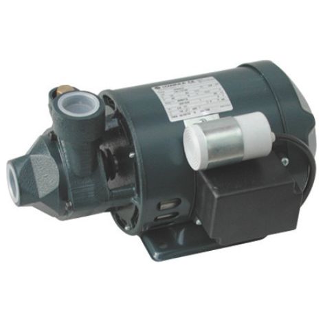 Pumpe elektrische Pumpe zum Bewegen von Wasser für den Hausgebrauch und kleine Bewässerungen Lowara PM - PM40 (1/2)