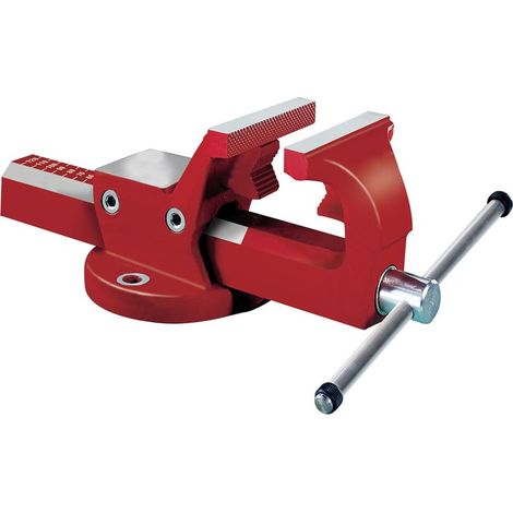 Fortis Schraubstock mit Rohrspannbacken 120 mm (1/2)