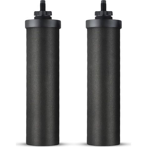 Filtre à eau de rechange, 2 filtre berkey à eau à charbon actif pour filtration par gravité, charbon actif eau purificateur d'éléments de purification pour extérieur filtre eau maison