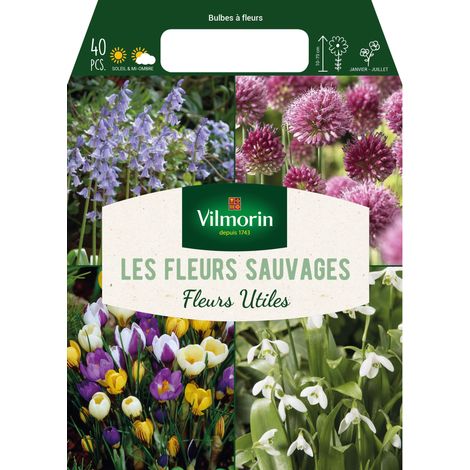 Vilmorin Bulbes à fleurs en Mélange - Les fleurs sauvages (x40)