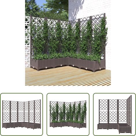 Rankgitter -  Pflanzkübel mit Rankgitter Braun 120x120x121,5 cm PP (1/5)