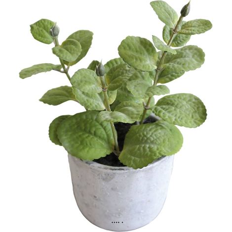 Herbe aromatique artificielle Menthe H 17 cm, D 11cm pot Béton (1/3)