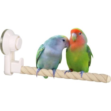 Suction Perch for Birds, Support for Windows/Bath/Car/Travel for Birds, Parrot, Parakeet, Cockatiel, Lovebird (1/5)