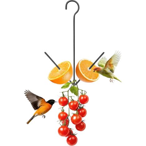Mangeoire à Oiseaux d'extérieur métal avec Fourchette pour Petits Oiseaux – pour l'extérieur, Jardin, Cour, Porche, Moineau, canari, Fruits et légumes (1/5)
