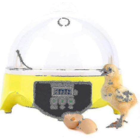 Incubateur numérique automatique 7 œufs avec retournement automatique, contrôle précis de la température et régulation (1/5)