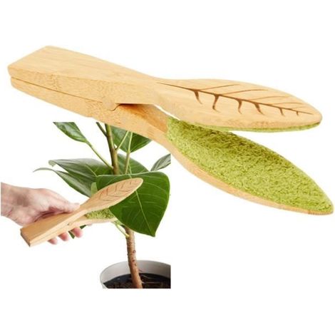 Blattzange - Marke - Modell - Naturholz - Innen - Grün