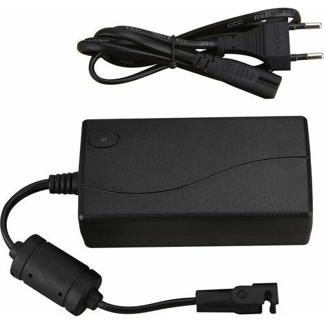 Adaptateur électrique 29V2A – Alimentation pour fauteuils inclinables – Connexion broches moteur – Compatible Okin, Limoss, Tranquil Ease (1/5)