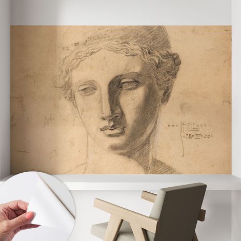 Papier peint adhésif décoratif pour chambre et salon Design moderne à poser facilement Portrait féminin 104x70 cm (1/5)