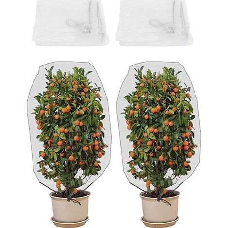 2 Filets Barrière Anti-Insectes pour Fruits, Plantes et Arbres – Protection pour Serre et Jardin,de (1/5)