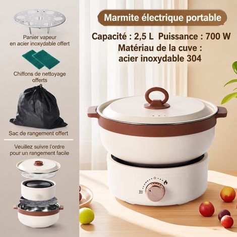 Marmite électrique portable beige avec couvercle inox et prise UK 220V pour 1-2 personnes beige acier inoxydable 300 g – Livraison gratuite