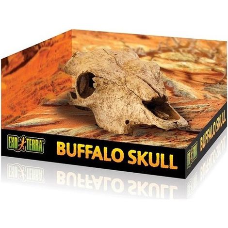 Teschio di bufalo Exo Terra (1/2)