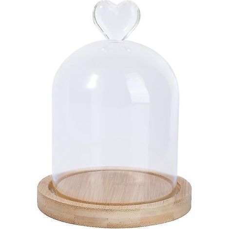 1 dôme en verre (1/3)