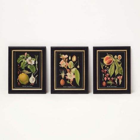 HOMESCAPES Botanical Fruit Wall Art, 20 x 25 cm, Set of 3 (1/5)