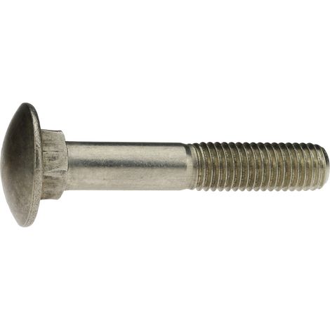 Reidl DIN 603 Flachrundschr. Vierkantansatz M12 x 300 A2 blank, ohne Mutter (1/4)
