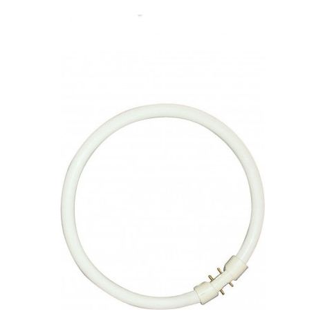 Sylvania 0000521 Tubo fluorescente a forma di ampolla T5 CIRCLINE PLUS 22W/840