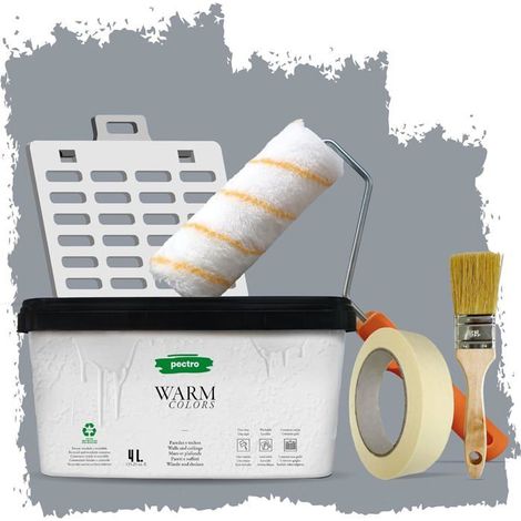 Vernice - PECTRO - Monocouche - Grigio Bluastro - 4L - Kit Completo Incluso