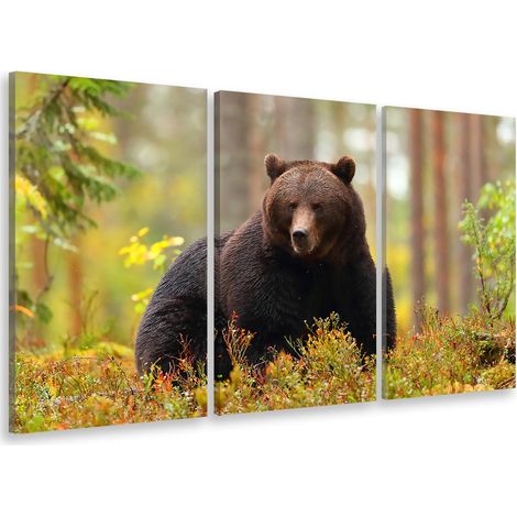 Tableau triptyque animaux ours brun en chasse - 90x60 cm (1/5)