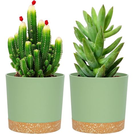 Lot de 2 Pot de Fleur Interieur,12.7cm Cache Pot Plante,Plastique Indoor Flower Pots avec Trous de Drainage et Base Amovible(Vert12.7cm) (1/5)
