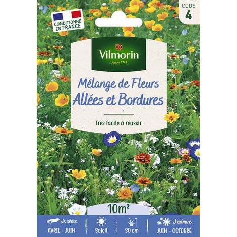 Mélange Couvrant Allées Bordures - 10 m² - Mélange de fleurs Vilmorin (1/3)
