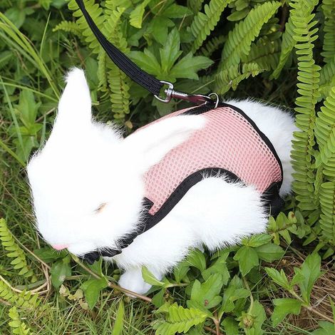 Harnais pour Lapins Cochons d'Inde Petits Animaux avec Laisse Élastique Gilet Souple pour Promenade (Rose) (1/5)