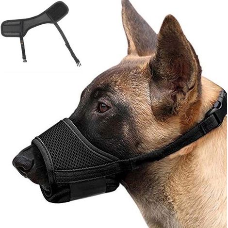 Museruola per cani, anello regolabile, traspirante, sicura, regolabile rapidamente per cani di piccola e media taglia, previene morsi, masticazioni e (1/5)
