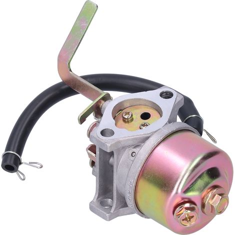 Ersatzvergaser aus Aluminium für Wasserpumpenmotor 166F MZ175 MZ2600 (1/5)