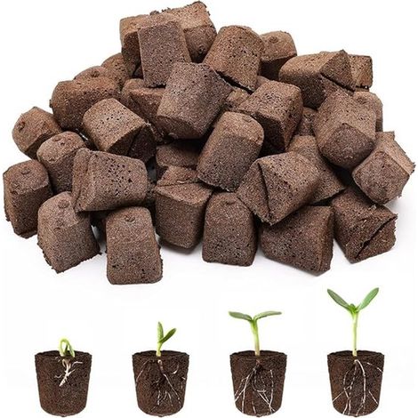 Spugne di ricambio per piante, 100 pezzi, tappi di crescita per piante per idroponica, 2 x 6,2 x 1 cm, spugne di ricambio per Aerogarden per idroponica (1/5)