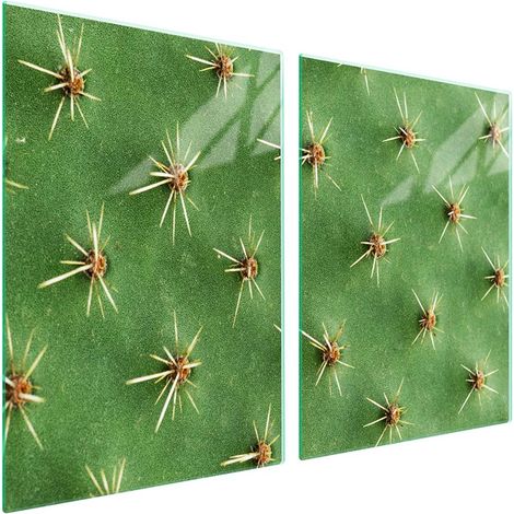 Plaque de protection en verre pour poêle 2x45x52 Cactus (1/5)