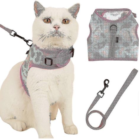Harnais et laisse pour chat, anti-fugue, pour les promenades en extérieur, convient également aux petits chiens, tissu en maille douce, gilet ajustable pour chat (1/5)