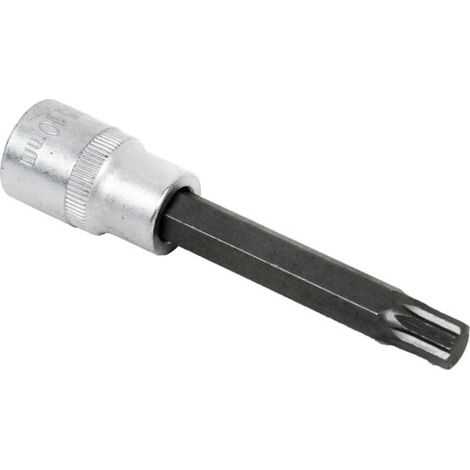 Llave de vaso de 1/2 en acero al cromo vanadio de alta calidad Con punta larga Torx desde 20 hasta 55                                                     T-50