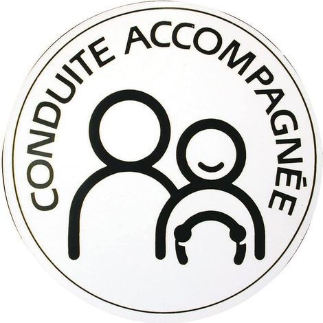 Disque électrostatique CONDUITE ACCOMPAGNEE