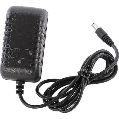Chargeur pour voiture électrique enfant - Chargeur de batterie au plomb, 12 V/1000 mA, fiable (1/5)