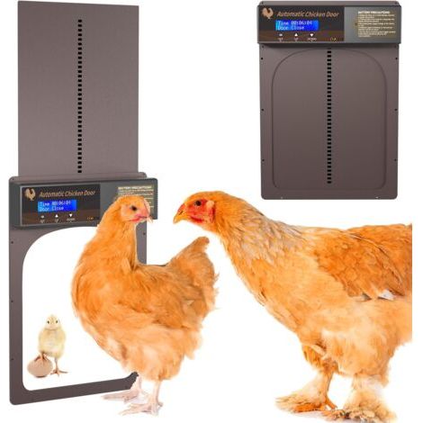 Porte automatique poulailler avec écran LCD programmable – Alimentation par 3 piles AA – Installation facile – Étanche pour extérieur (1/5)