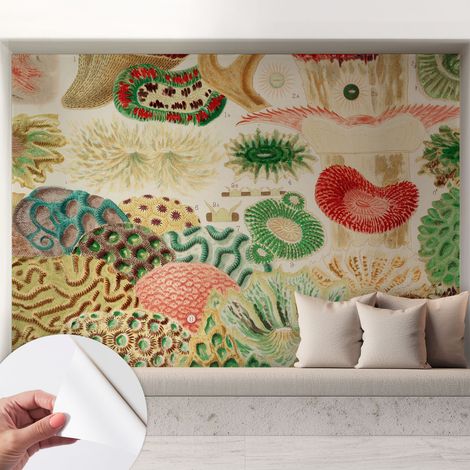 Carta da parati autoadesiva - fotomurale - decorazione parete - murale - adesivo da muro - Forme organiche 208x146 cm (1/5)