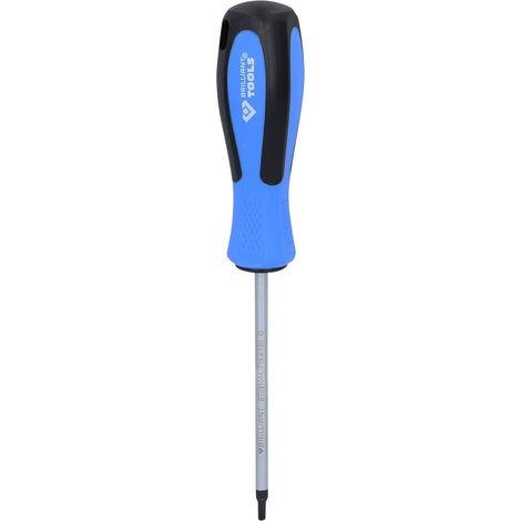 BRILLIANT TOOLS destornillador TORX T15 x 100 mm - BT031044