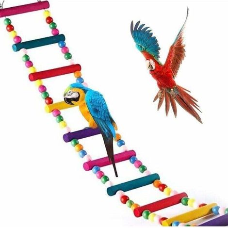 Jouets pour Oiseaux pour Perroquet, échelle, balanoire, Dressage Pont Arc-en-Ciel pour perroquets, perruches, Conures, cokatoo (1/4)