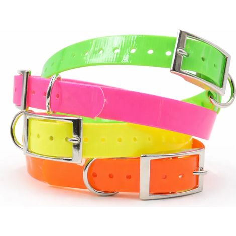 Collier chien fluo BIOGOLD taille standard 4 couleurs (1/5)
